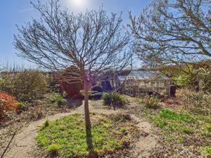 Rear gardens- click for photo gallery